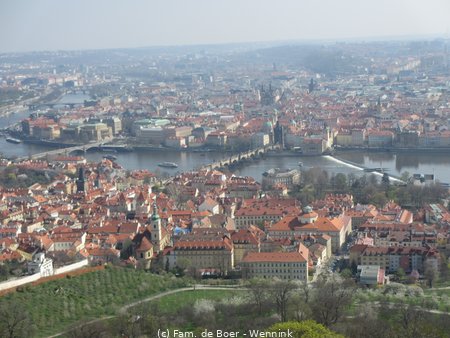 190405_105323-IMG_0597.JPG