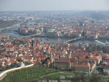 190405_105413-IMG_0600.JPG