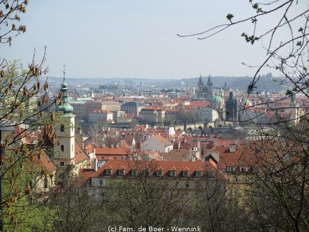 190405_113104-IMG_0621.JPG