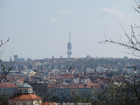 190405_113209-IMG_0622.JPG