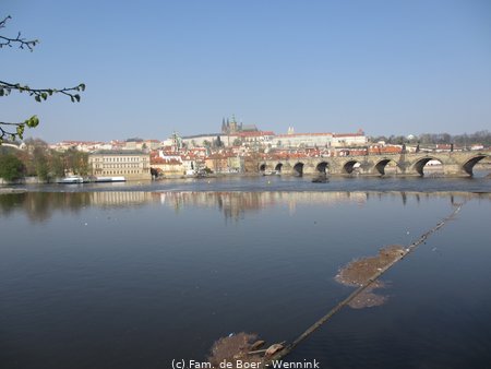 190406_101433-IMG_0727.JPG