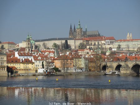 190406_101447-IMG_0728.JPG