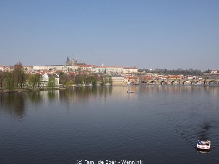 190406_102247-IMG_0729.JPG