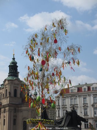 190406_134155-IMG_0794.JPG