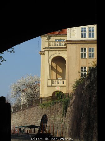190406_154832-IMG_0861.JPG