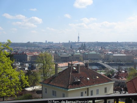 190407_112111-IMG_0927.JPG