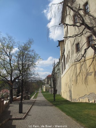 190407_120540-IMG_0962.JPG