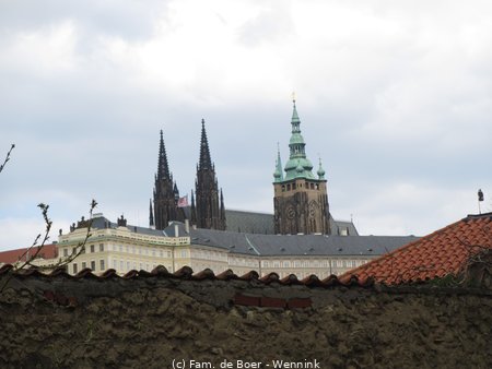 190407_132629-IMG_1003.JPG
