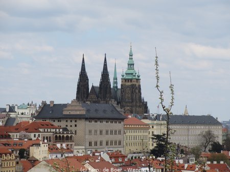 190407_134627-IMG_1006.JPG