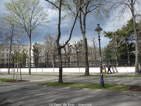 190325_142411-IMG_0340.JPG