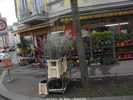 190325_150227-IMG_0372.JPG
