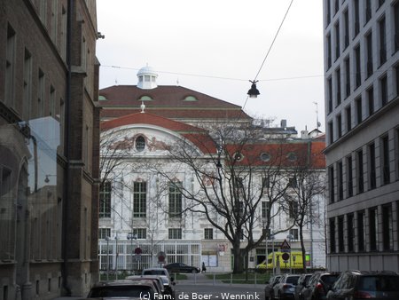 190325_161204-IMG_0464.JPG