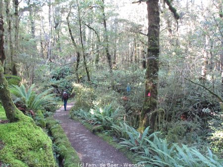 190819_124036-08-19_Fiordland(IMG_3307).JPG