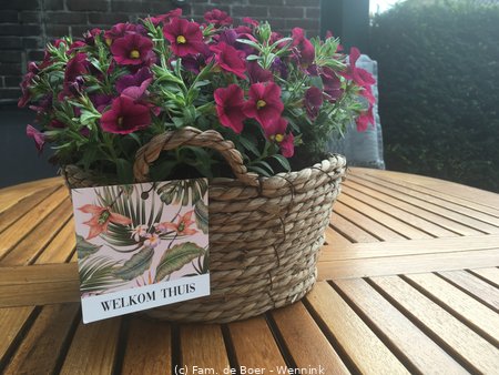 190901_085159-09-01_HKG-AMS(20190901_065158966_iOS).jpg
