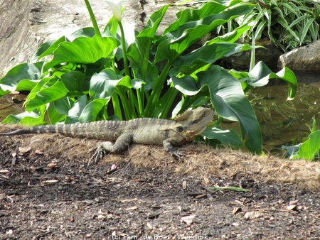 190726_103854-IMG_1664.JPG