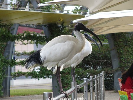 190726_124539-IMG_1706.JPG