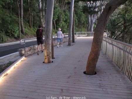 190728_172636-IMG_1874.JPG