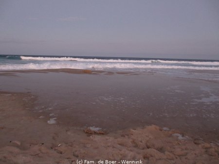 190729_173612-IMG_1980.JPG