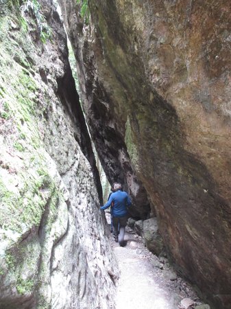 190801_122723-IMG_2119.JPG