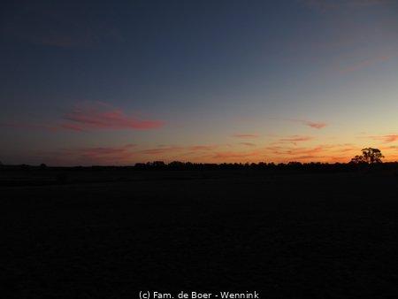 190804_173316-IMG_2390.JPG