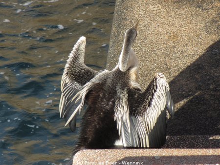 190811_145502-IMG_2712.JPG