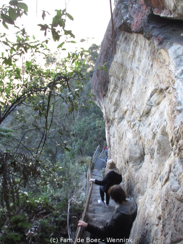190812_133547-IMG_2779.JPG