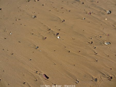 190813_145045-IMG_2857.JPG