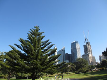 190814_141453-IMG_2942.JPG