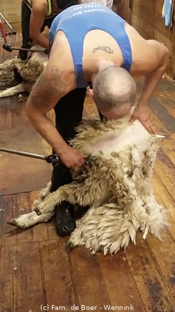 190823_095252-IMG_3539_20190823_075251000_iOS.jpg
