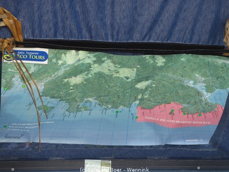 190827_123057-IMG_3875.JPG