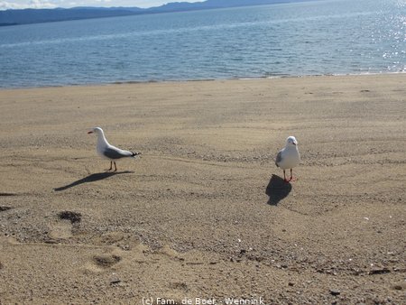 190828_123212-IMG_3922.JPG