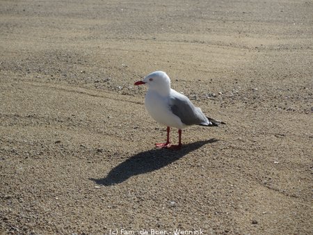 190828_123224-IMG_3923.JPG