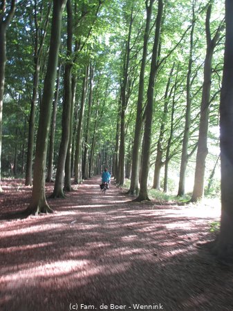 200727_192604-IMG_4589.JPG