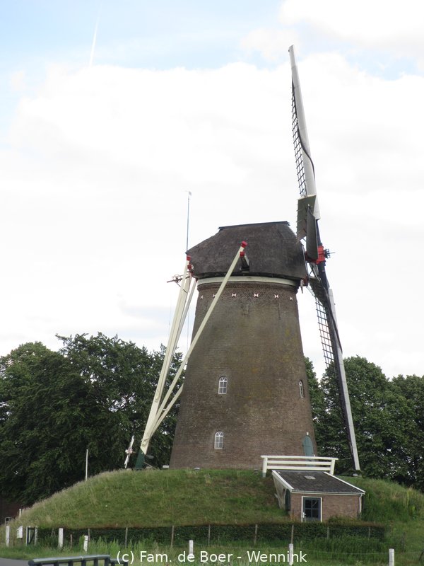 200729_173403-IMG_4760.JPG