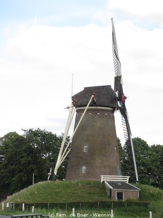 200729_173403-IMG_4760.JPG