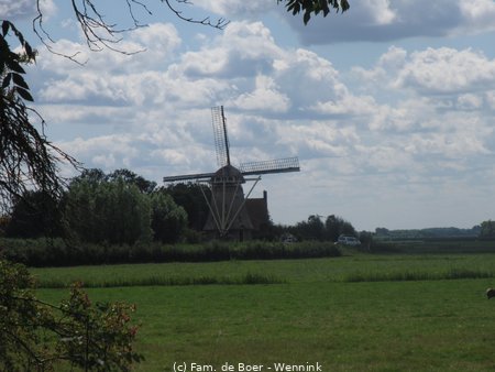 200804_132520-IMG_4858.JPG