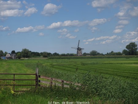200804_134703-IMG_4864.JPG