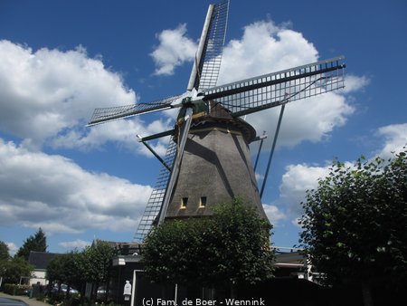 200804_135530-IMG_4865.JPG