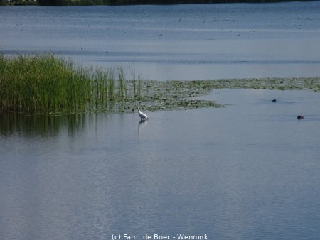200804_143606-IMG_4874.JPG