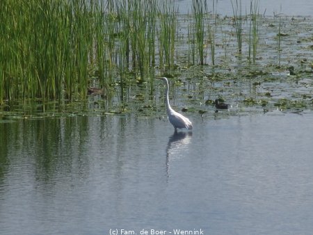 200804_143615-IMG_4875.JPG