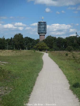 200804_154029-IMG_4885.JPG