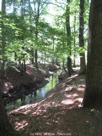 200805_132302-IMG_4908.JPG
