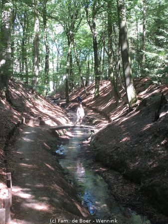 200805_132408-IMG_4909.JPG
