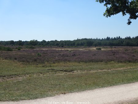 200807_142409-IMG_4922.JPG