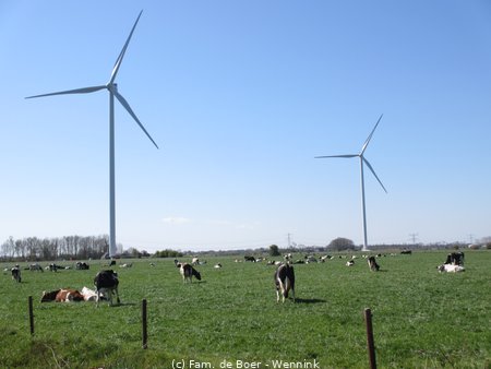 210426_112812-IMG_5015.JPG