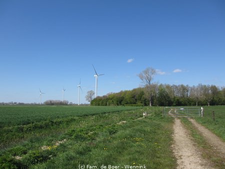210426_120131-IMG_5020.JPG