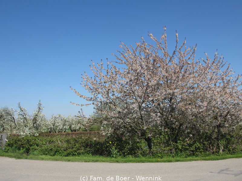 210427_130819-IMG_5035.JPG