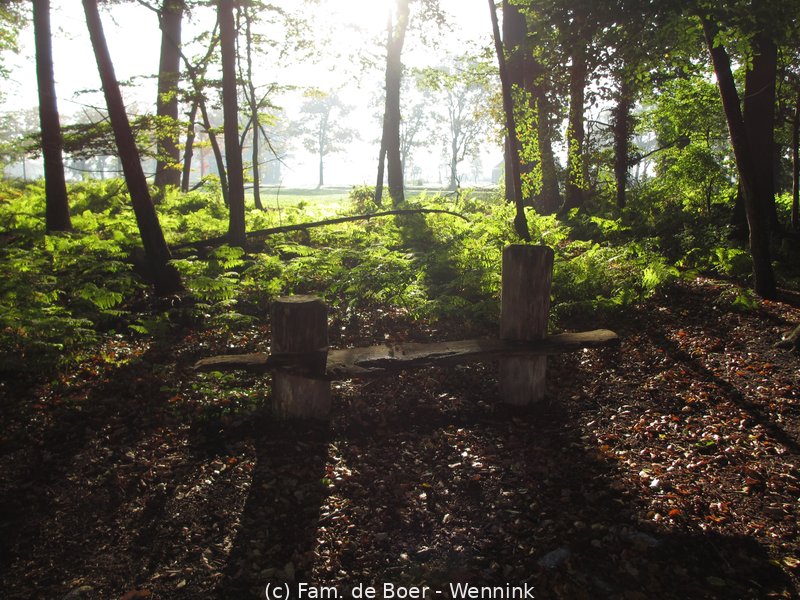 211023_102743-IMG_5847.JPG