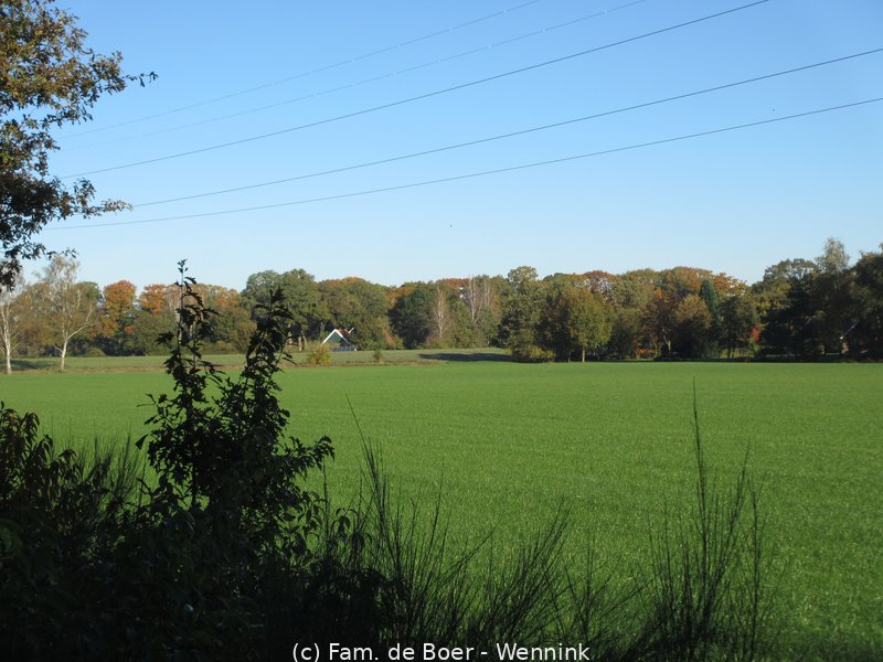 211024_103531-IMG_5869.JPG