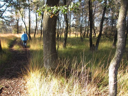 211024_110049-IMG_5873.JPG